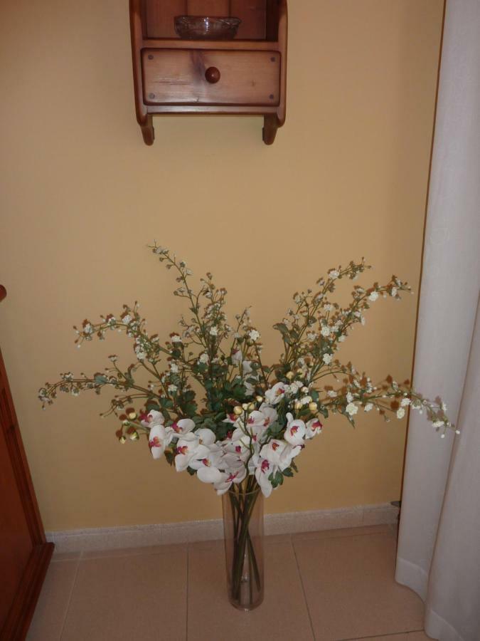 El Molino Apartment Castejón de Sos Екстериор снимка